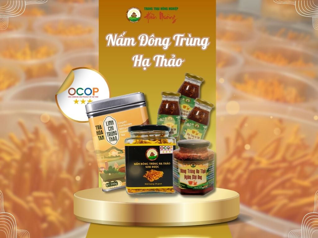 6. Nấm đông trùng hạ thảo tại Hiền Nương Farm – quy trình chuẩn, chất lượng cao